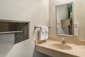 Red Roof Inn Detroit Metro Airport - Taylor - Bathroom