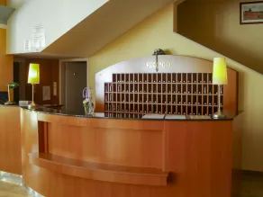 Világos Hotel Balatonvilágos - Recepción