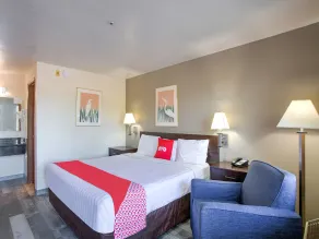 OYO Woodland Hotel and Suites - Chambre