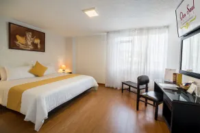 Hotel Don Saul - Chambre