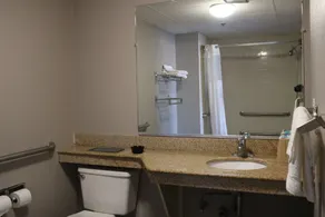 Rodeway Inn Brooklawn - Bathroom