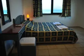 Palm Court Suites - Room