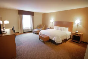 Hampton Inn & Suites Dallas/Frisco North-FieldhouseUSA - Chambre
