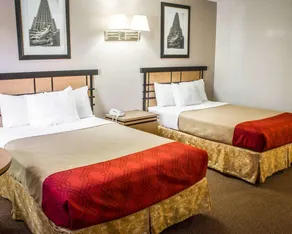 Econo Lodge Inn & Suites Colonie Center Mall - Chambre