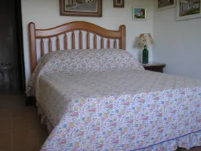 Suites em meio a Mata Atlântica - Room
