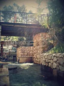 Terme Acqua Pia Wellness & SPA - Pool