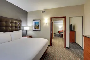 Drury Inn & Suites Charlotte Arrowood - Chambre