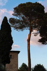 Domus Pacis Assisi - View from room