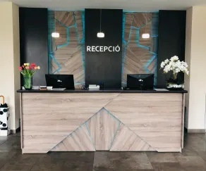 Fenyves Konferencia és Wellness Hotel - Reception