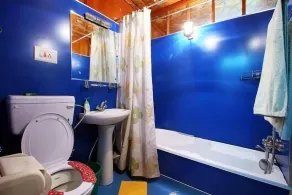 Houseboat Lily of Nageen - Bathroom