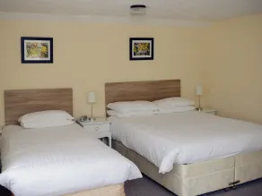 Park Hill Hotel - Room