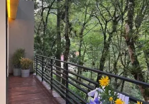 Termales Los Volcanes - Ausblick vom Zimmer