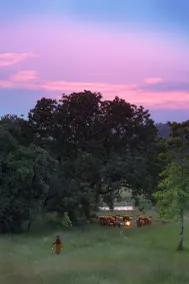 Mahua Kothi Bandhavgarh - A Taj Safari - Restaurant