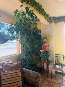 Regal Inn Coffeyville KS US 169 - Lobby