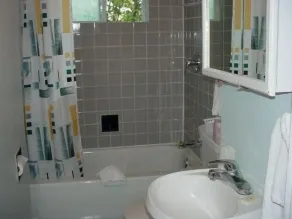 Blue Moon Motel - Salle de bain