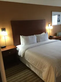 Radisson Hotel Detroit Metro Airport - Chambre