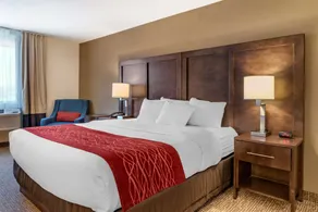 Comfort Inn Williamsport - Chambre