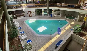 Wyndham Garden Ann Arbor - Piscine