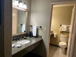 Piccadilly Inn Airport - Bathroom