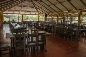 Tiuma Park - Restaurant