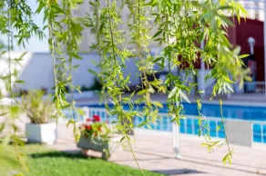 Velada Mérida - Piscine