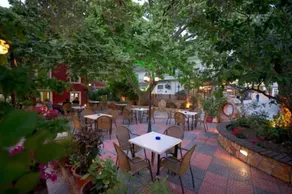 Oasis Exclusive  - Restaurant