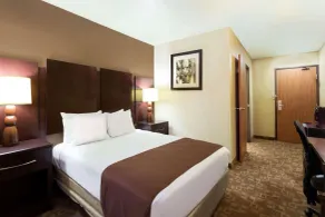 Rodeway Inn & Suites Chandler - Phoenix South I-10 - Room