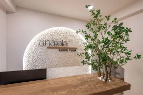 Analeia Luxury Hotel - Adults Only - Réception