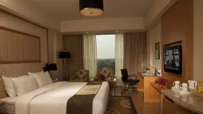 Radisson Blu Hotel, Nagpur - Room