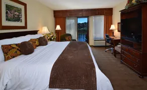 Chetola Resort - Room