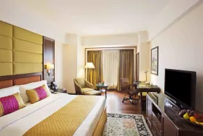 Eros Hotel New Delhi by IHG - Vue de la chambre