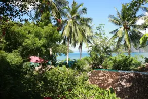Golden Monkey Cottages - Vue de la chambre