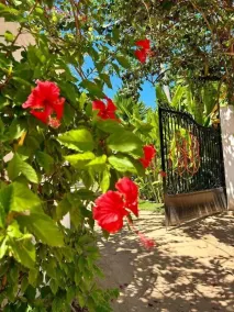 Pousada Vila do Patacho - Unterkunftsgelände