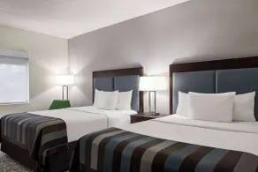 Wingate by Wyndham Fletcher at Asheville Airport - Chambre