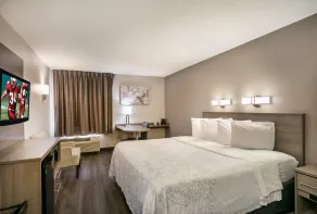 Red Roof Inn PLUS+ Boston - Logan - Chambre