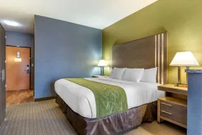 Comfort Suites Southgate-Detroit - Chambre