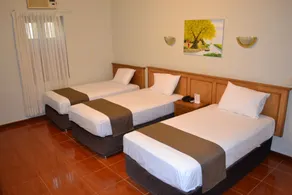 DM Hoteles Mossone - Ica - Room