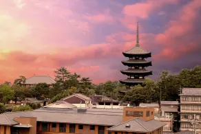 Ryokan Asukasou at the entrancne of Nara park - Vue de la chambre
