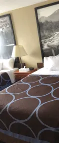 Super 8 by Wyndham Montgomery Maybrook - Chambre