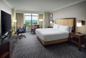 Hilton Richmond Hotel & Spa/Short Pump - Chambre