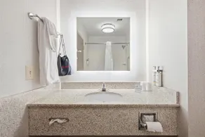 Holiday Inn Express & Suites Bethlehem Airport-Allentown Area - Salle de bain