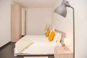 Central Plaza Apartment Br in Lugano - Værelse