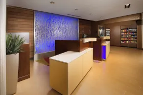 Fairfield Inn & Suites by Marriott Arundel Mills BWI Airport - Reception