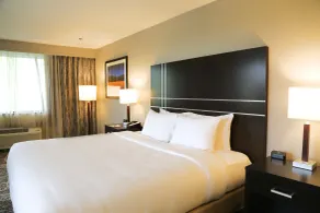 DoubleTree by Hilton Boston - Rockland - Room
