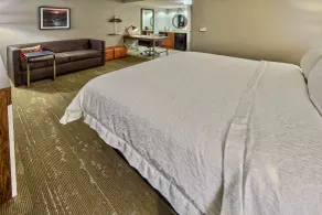 Hampton Inn & Suites Fort Myers-Estero/FGCU - Chambre