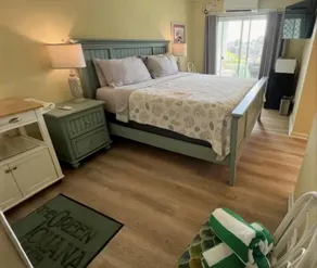 The Green Iguana Hotel - Room