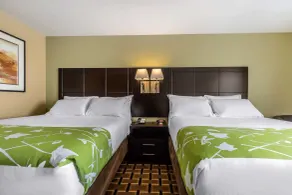 Econo Lodge Boaz - Room