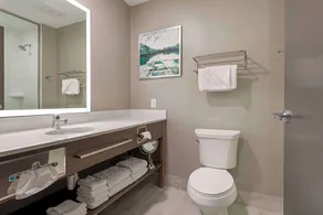 Best Western Plus Grand Rapids MN - Salle de bain