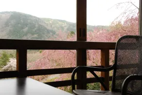 Hakone Kowakien Mikawaya Ryokan - Camera