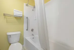 Econo Lodge Inn & Suites Triadelphia - Wheeling - Salle de bain